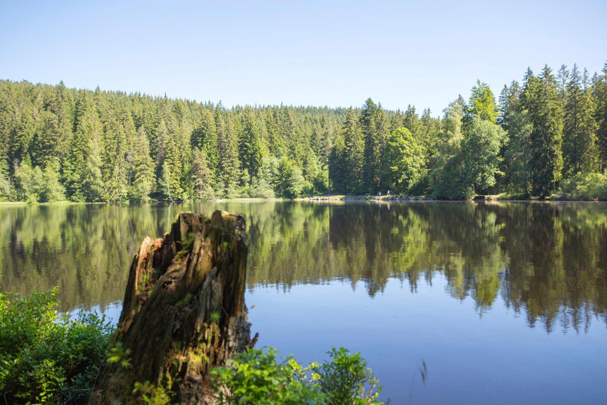Drei Tannen - Wohnung 07 - Apartmenthaus, Titisee, Feldberg Εξωτερικό φωτογραφία
