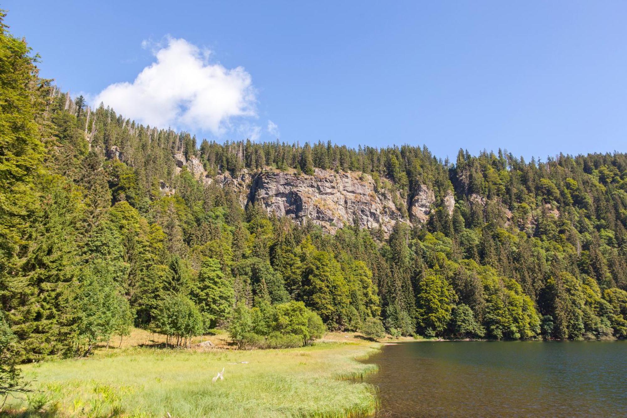 Drei Tannen - Wohnung 07 - Apartmenthaus, Titisee, Feldberg Εξωτερικό φωτογραφία