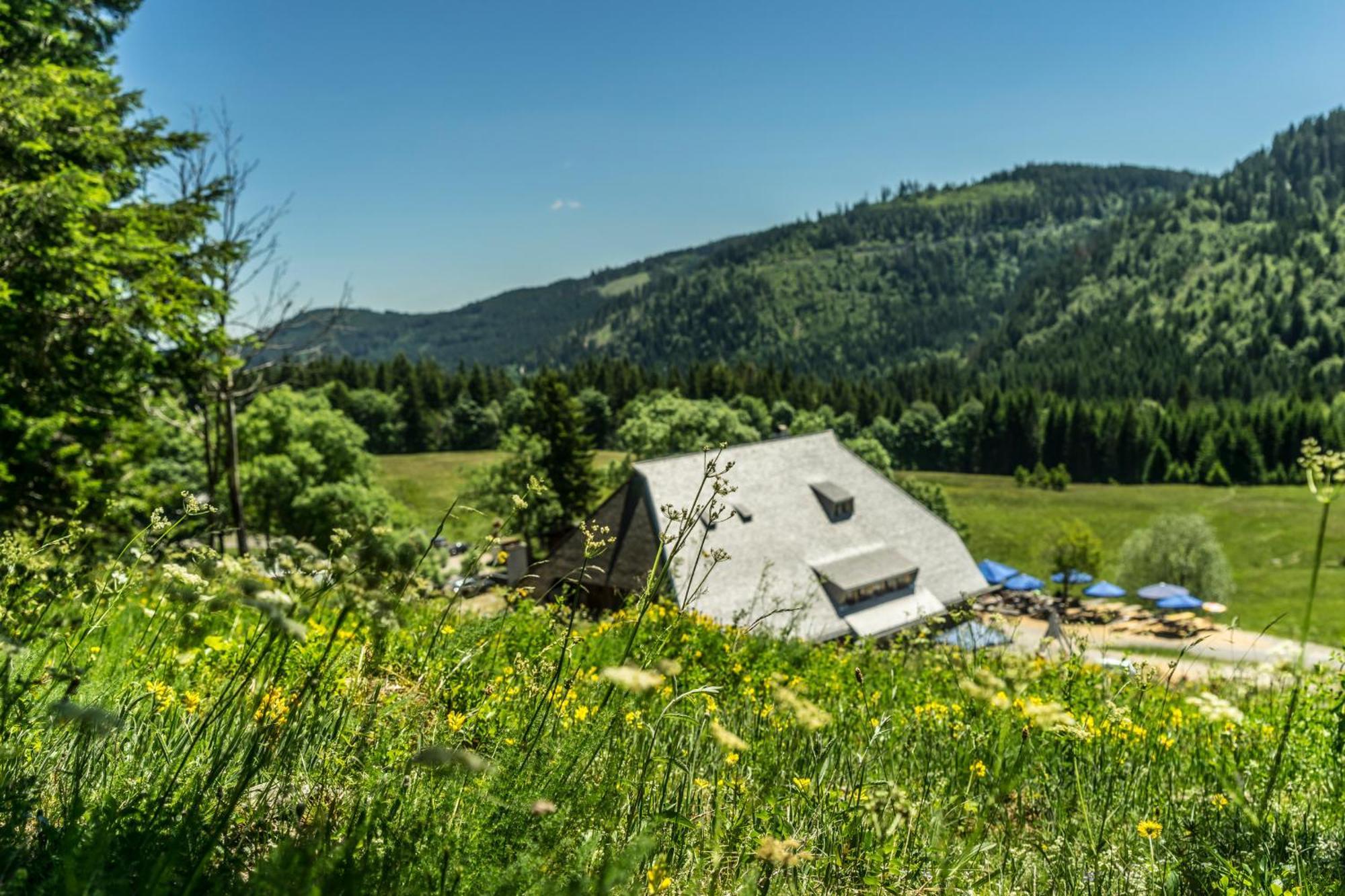Drei Tannen - Wohnung 07 - Apartmenthaus, Titisee, Feldberg Εξωτερικό φωτογραφία